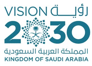 رؤية المملكة العربية السعودية 2030 والملف الرياضي